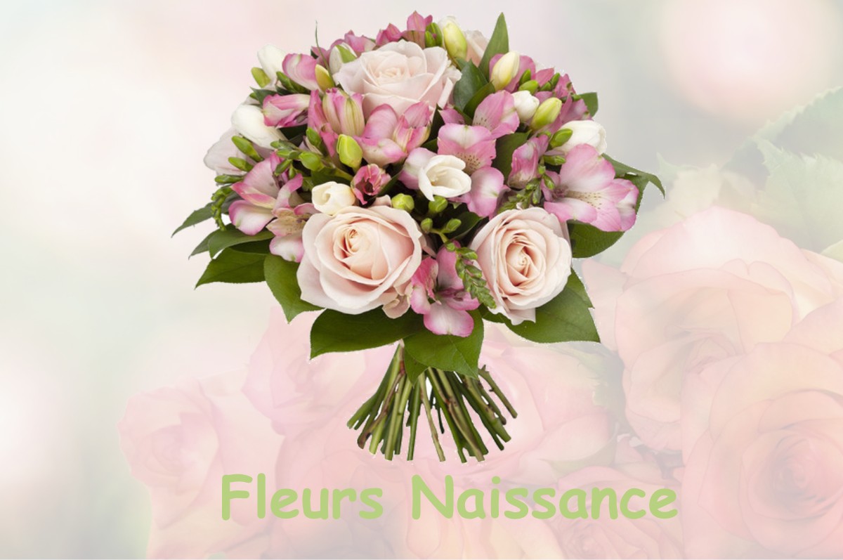fleurs naissance BELLENOD-SUR-SEINE